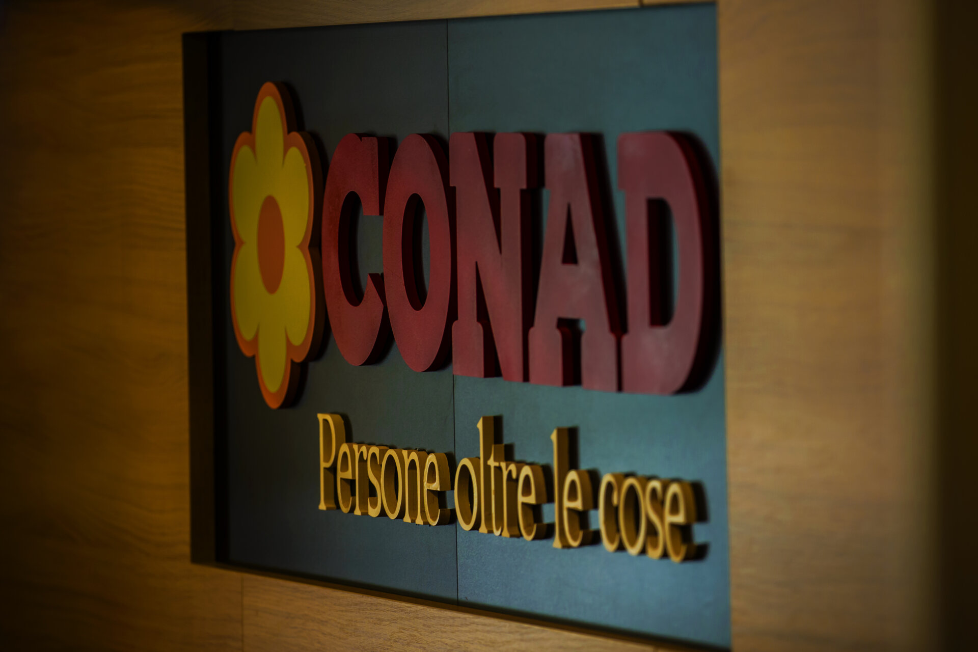 Le 5 Cooperative nelle diverse aree del Paese